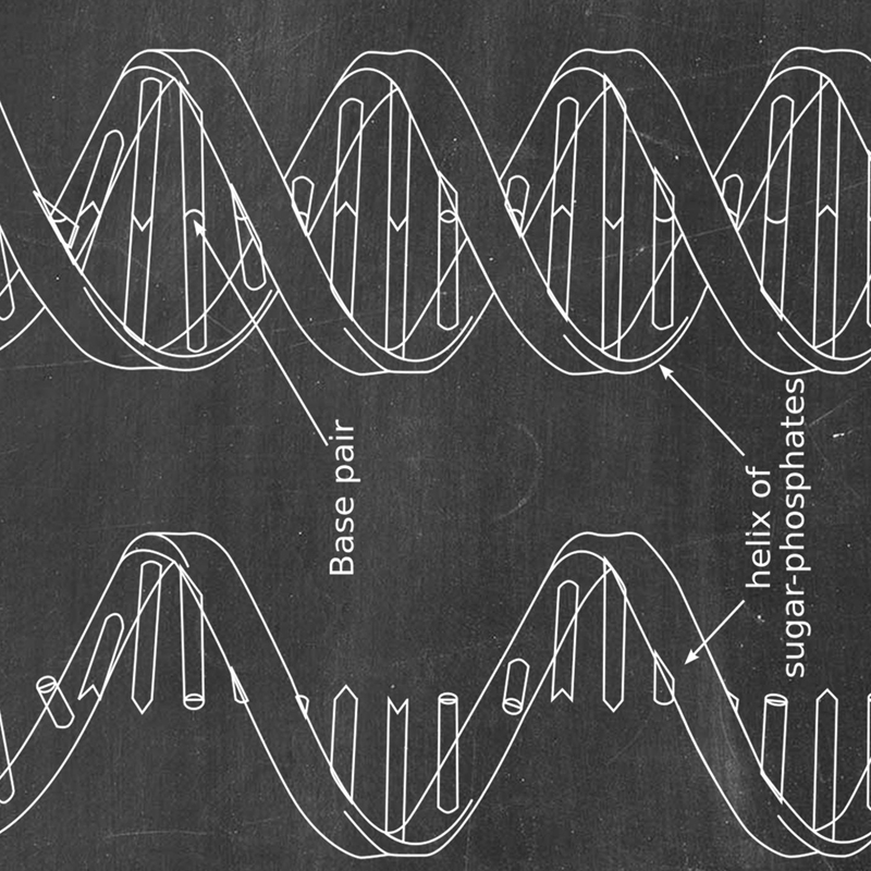 DNA Patent Wall Art Genetics P - огляд і ціна Star Map Poster