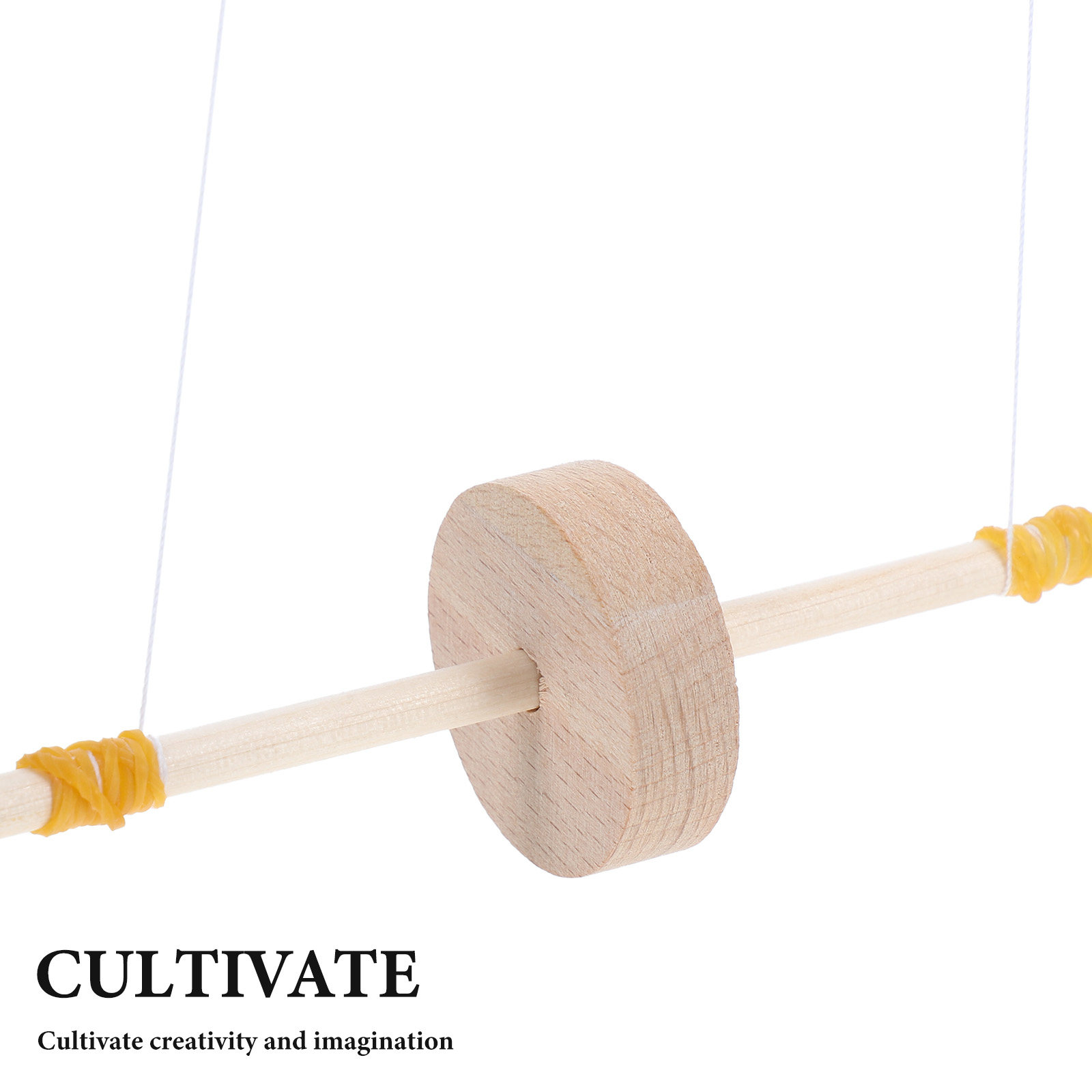 Maxwell Wooden Pendulum Educat - огляд і ціна Science Project Kit